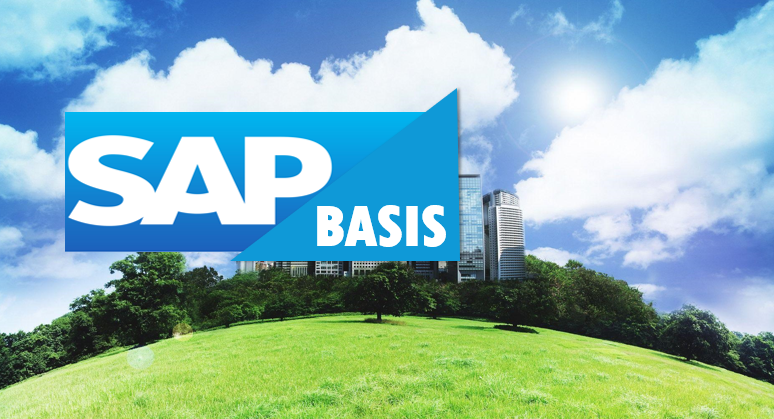 sap basis cover